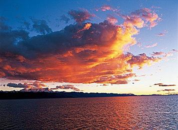 经典美剧改编 动作游戏《眼镜蛇2：道场崛起》发售